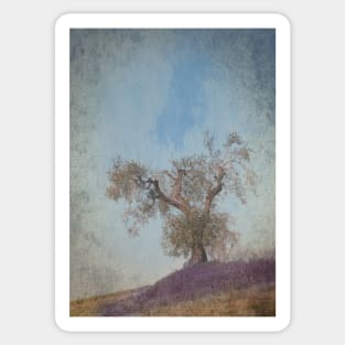 Old Olive Tree and Lavender Sticker